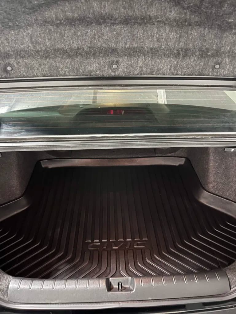 Cargo Area