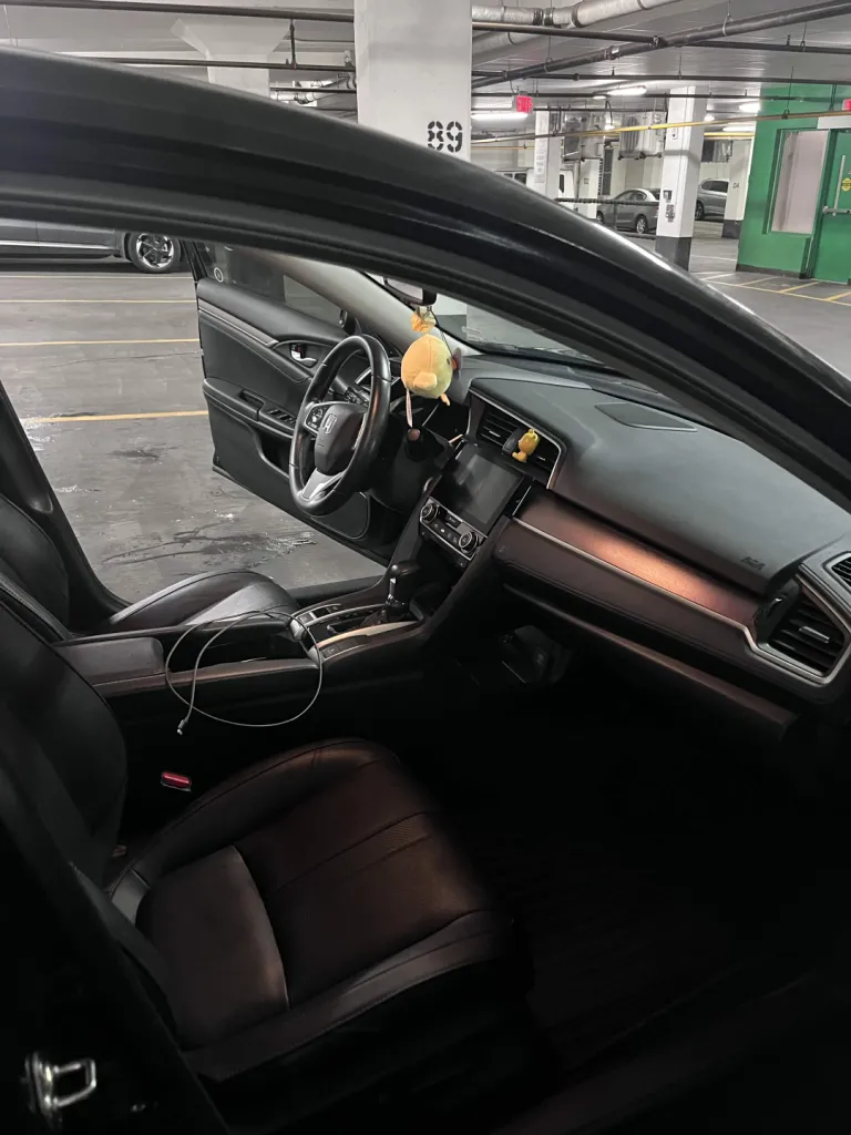 Dashboard & Front Seats