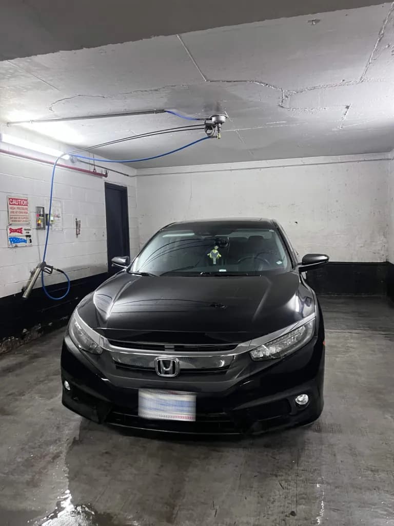 Honda Civic Revival Detail