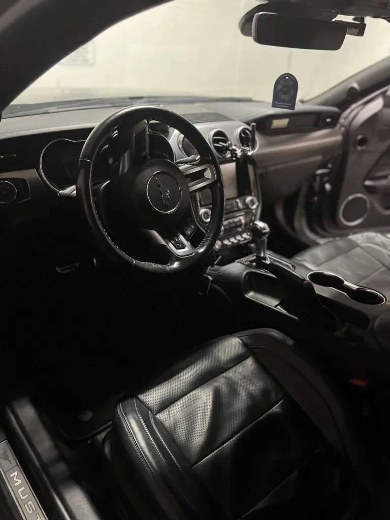 Ford Mustang Revival Detail