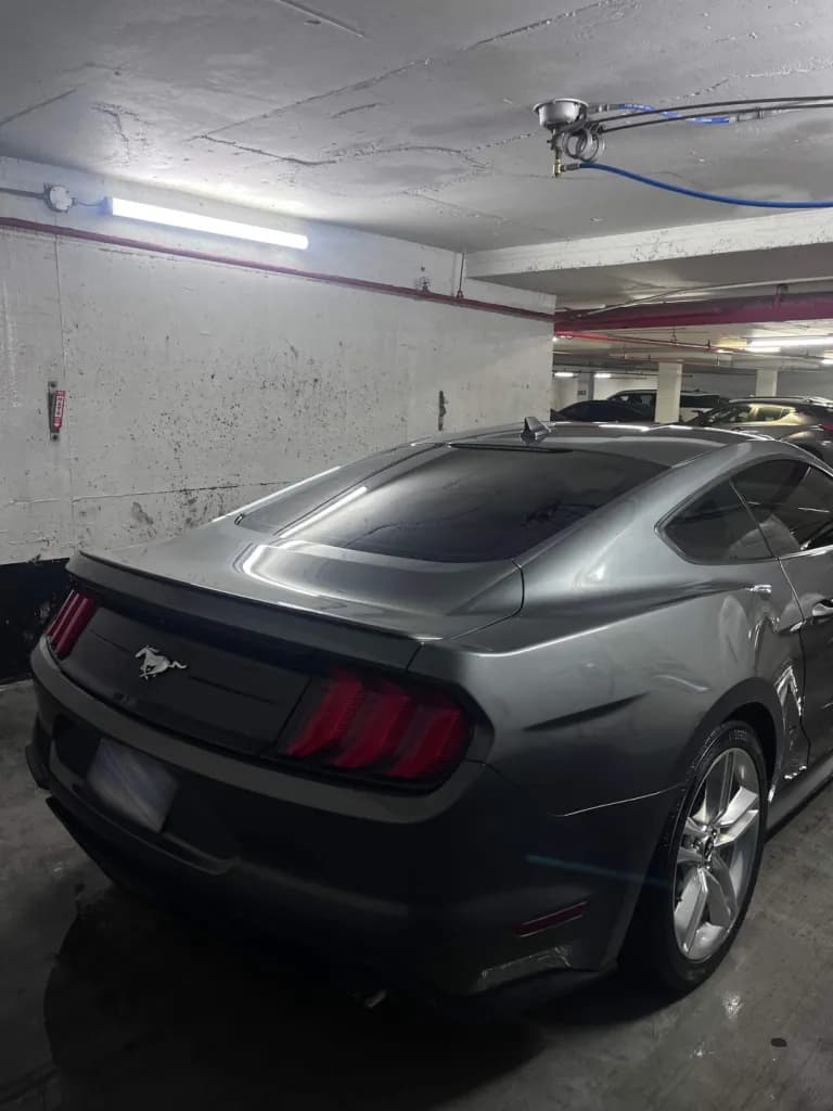 Rear Exterior